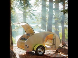 Unusual pics08 2012-0phyl1