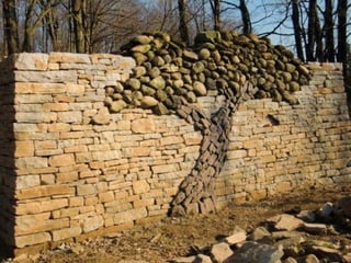 Unusual pics08 2012-0phyl1