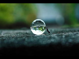 Unusual pics08 2012-0phyl1