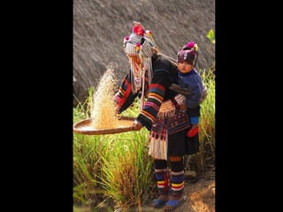 Unusual pics08 2012-0phyl1
