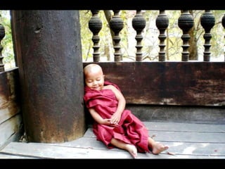 Unusual pics08 2012-0phyl1