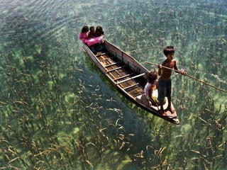 Unusual pics08 2012-0phyl1