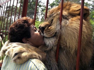 Unusual pics08 2012-0phyl1