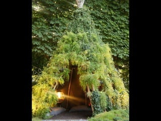 Unusual pics08 2012-0phyl1