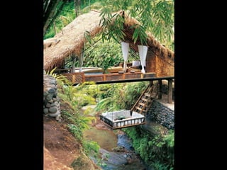 Unusual pics08 2012-0phyl1