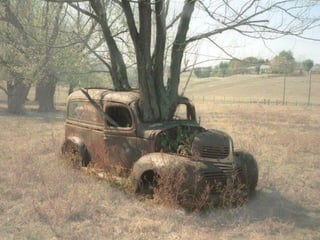 Unusual pics08 2012-0phyl1