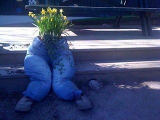 Unusual pics08 2012-0phyl1
