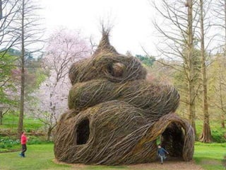 Unusual pics08 2012-0phyl1