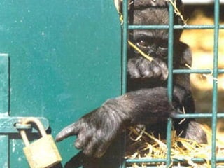 Unusual pics08 2012-0phyl1