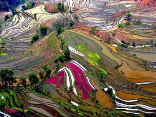 Unusual pics08 2012-0phyl1