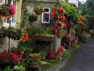 Unusual pics08 2012-0phyl1