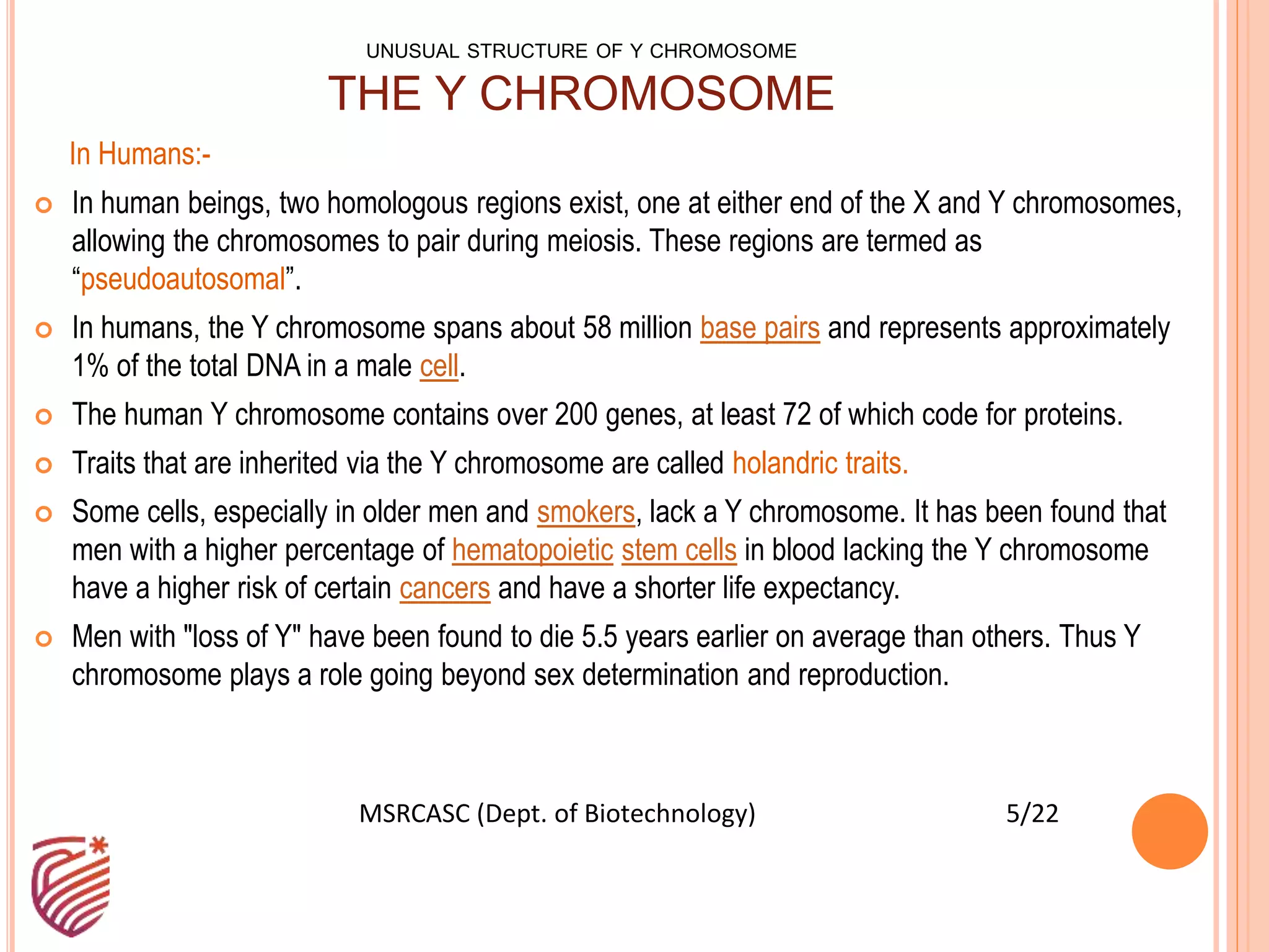 Y Structure Structure Of Y Chromosome Ppt