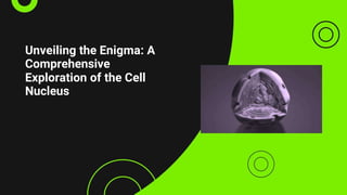 Unveiling the Enigma: A
Comprehensive
Exploration of the Cell
Nucleus
 