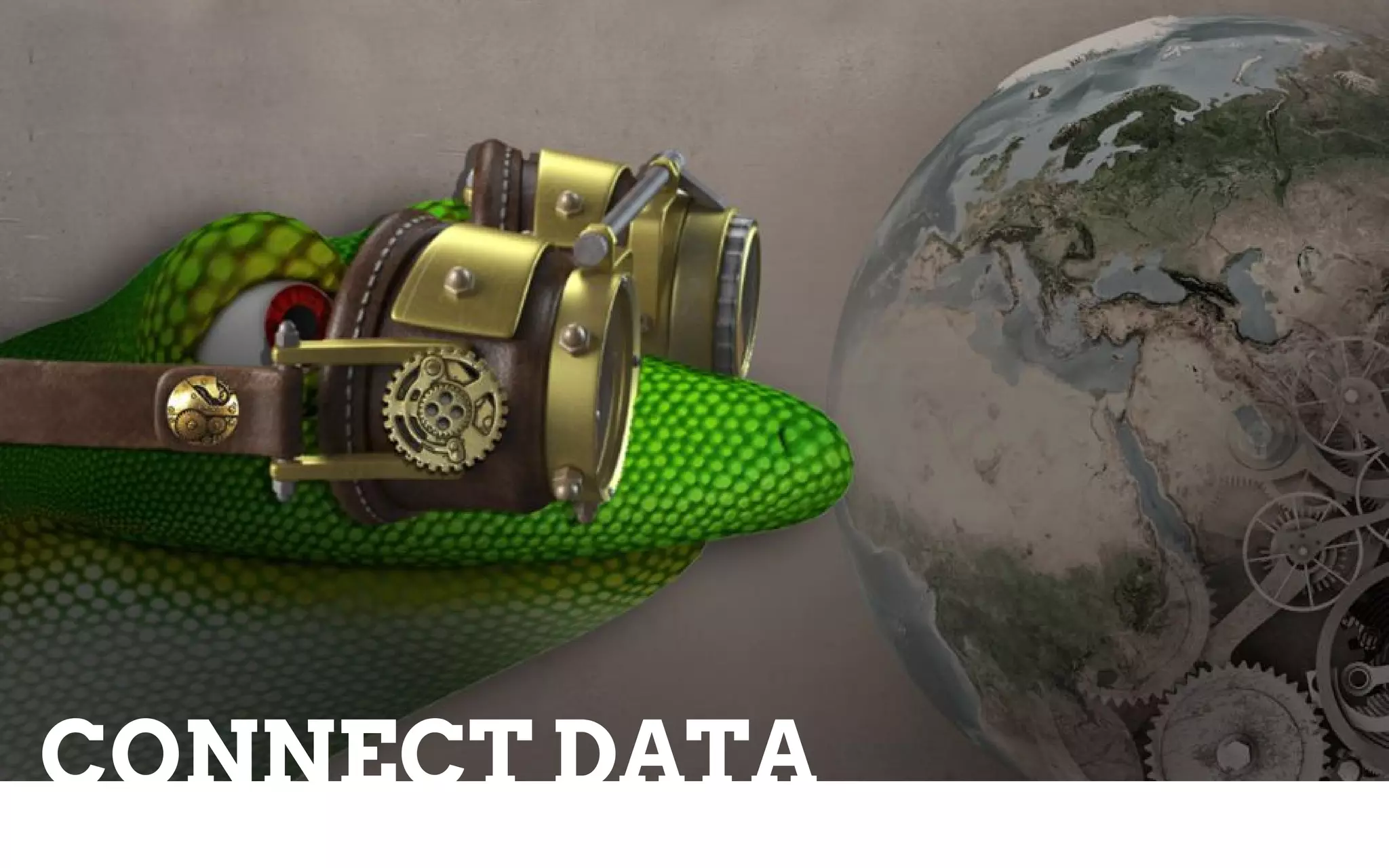 CONNECT DATA
 