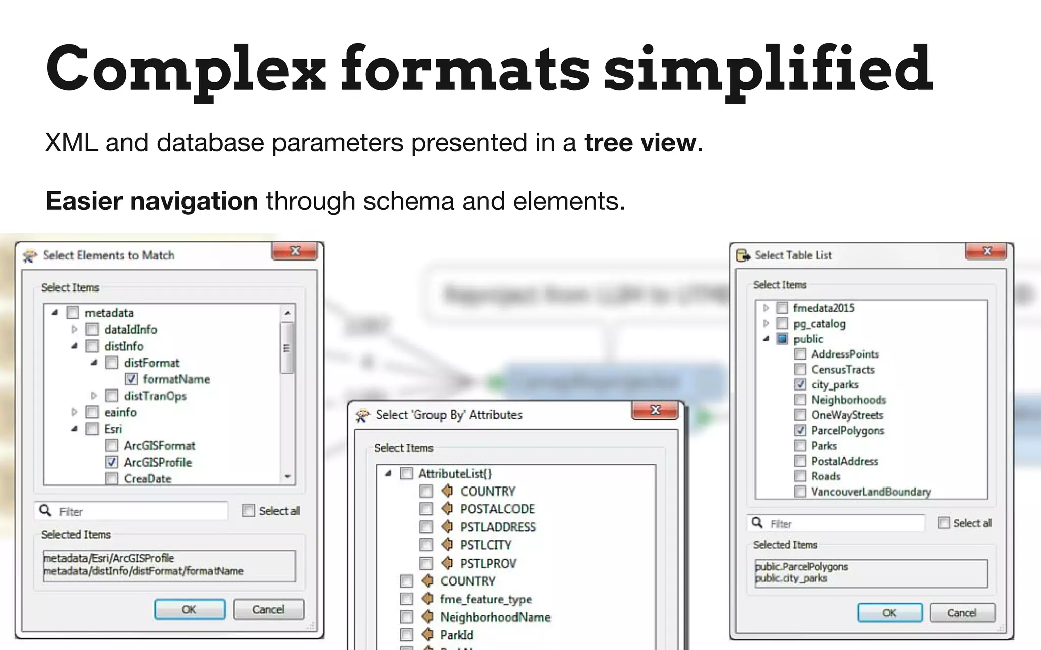 Complex formats simplified
XML and database parameters presented in a tree view.
Easier navigation through schema and elements.
 