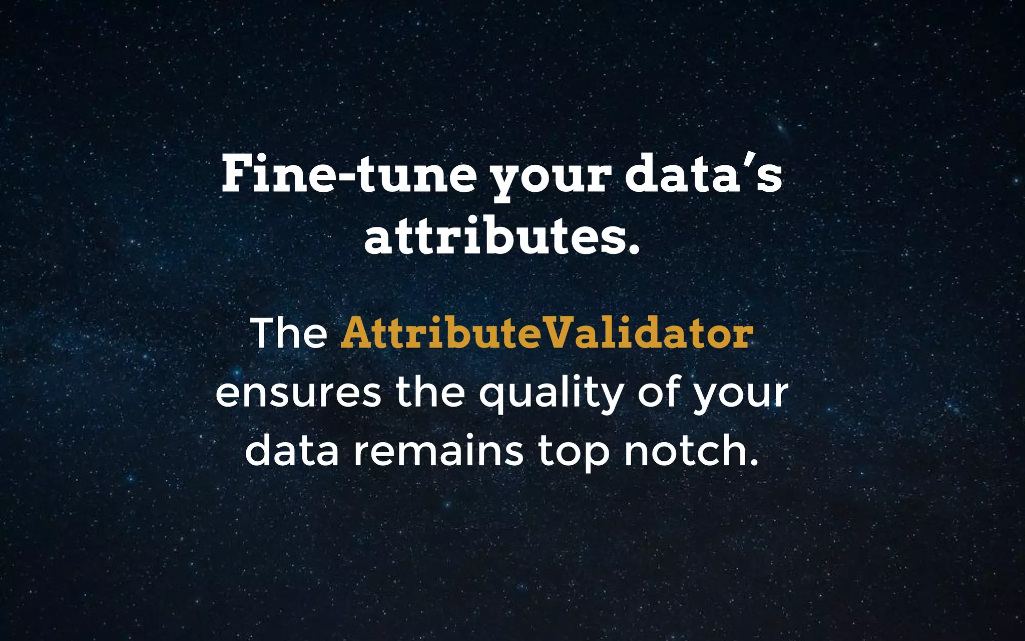 Fine-tune your data’s
attributes.
The AttributeValidator
ensures the quality of your
data remains top notch.
 