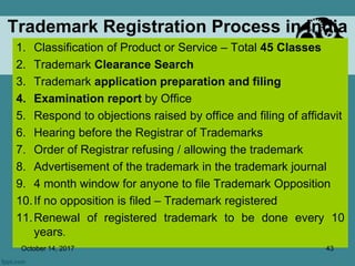 Unveiling Intellectual Property Rights | PPTX