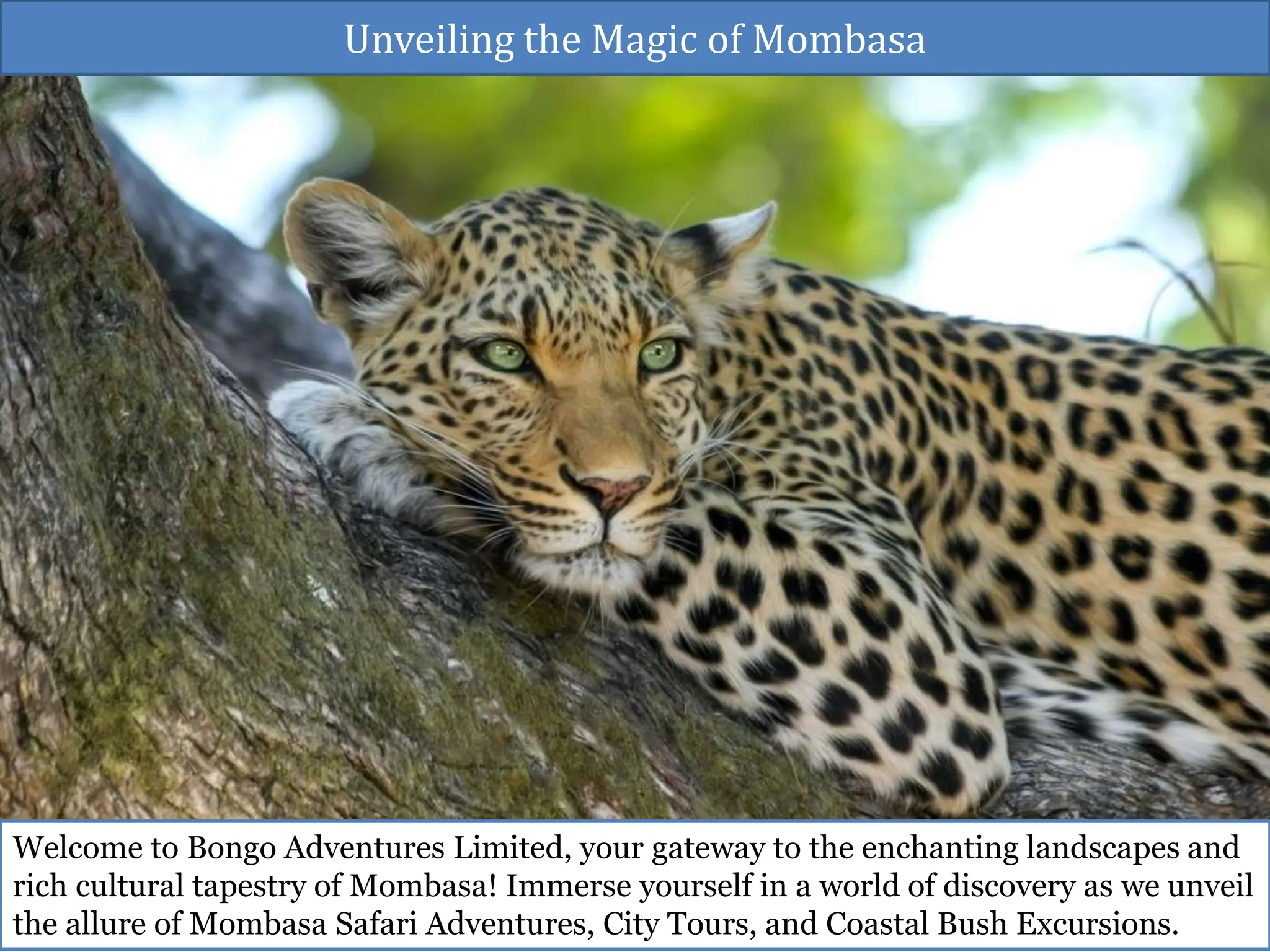 Unveiling the Magic of Mombasa | PPTX