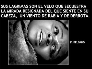 SUS LAGRIMAS SON EL VELO QUE SECUESTRA
LA MIRADA RESIGNADA DEL QUE SIENTE EN SU
CABEZA, UN VIENTO DE RABIA Y DE DERROTA.




                               F. DELGADO
 