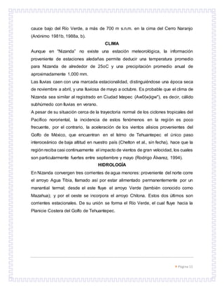  Página 11
cauce bajo del Río Verde, a más de 700 m s.n.m. en la cima del Cerro Naranjo
(Anónimo 1981b, 1988a, b).
CLIMA
Aunque en “Nizanda” no existe una estación meteorológica, la información
proveniente de estaciones aledañas permite deducir una temperatura promedio
para Nizanda de alrededor de 25oC y una precipitación promedio anual de
aproximadamente 1,000 mm.
Las lluvias caen con una marcada estacionalidad, distinguiéndose una época seca
de noviembre a abril, y una lluviosa de mayo a octubre. Es probable que el clima de
Nizanda sea similar al registrado en Ciudad Ixtepec (Aw0(w)igw''), es decir, cálido
subhúmedo con lluvias en verano.
A pesar de su situación cerca de la trayectoria normal de los ciclones tropicales del
Pacífico nororiental, la incidencia de estos fenómenos en la región es poco
frecuente, por el contrario, la aceleración de los vientos alisios provenientes del
Golfo de México, que encuentran en el Istmo de Tehuantepec el único paso
interoceánico de baja altitud en nuestro país (Chelton et al., sin fecha), hace que la
región reciba casi continuamente el impacto de vientos de gran velocidad, los cuales
son particularmente fuertes entre septiembre y mayo (Rodrigo Álvarez, 1994).
HIDROLOGÍA
En Nizanda convergen tres corrientes de agua menores: proveniente del norte corre
el arroyo Agua Tibia, llamado así por estar alimentado permanentemente por un
manantial termal; desde el este fluye el arroyo Verde (también conocido como
Mazahua); y por el oeste se incorpora el arroyo Chilona. Estos dos últimos son
corrientes estacionales. De su unión se forma el Río Verde, el cual fluye hacia la
Planicie Costera del Golfo de Tehuantepec.
 