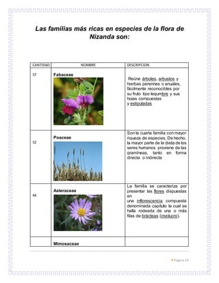  Página 14
Las familias más ricas en especies de la flora de
Nizanda son:
CANTIDAD NOMBRE DESCRIPCION
57 Fabaceae
Reúne árboles, arbustos y
hierbas perennes o anuales,
fácilmente reconocibles por
su fruto tipo legumbre y sus
hojas compuestas
y estipuladas
52
Poaceae
Son la cuarta familia con mayor
riqueza de especies, De hecho,
la mayor parte de la dieta de los
seres humanos proviene de las
gramíneas, tanto en forma
directa o indirecta
44
Asteraceae
La familia se caracteriza por
presentar las flores dispuestas
en
una inflorescencia compuesta
denominada capítulo la cual se
halla rodeada de una o más
filas de brácteas (involucro).
Mimosaceae
 