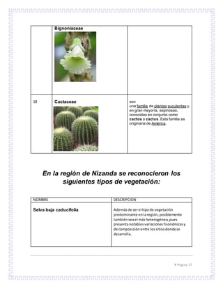  Página 17
En la región de Nizanda se reconocieron los
siguientes tipos de vegetación:
NOMBRE DESCRIPCION
Selva baja caducifolia Ademásde serel tipode vegetación
predominante enlaregión,posiblemente
tambiénseael másheterogéneo,pues
presentanotablesvariacionesfisonómicasy
de composiciónentre los sitiosdondese
desarrolla.
Bignoniaceae
18 Cactaceae son
una familia de plantas suculentas y,
en gran mayoría, espinosas,
conocidas en conjunto como
cactos o cactus. Esta familia es
originaria de América.
 