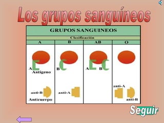 Los grupos sanguíneos Seguir 