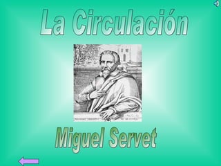 La Circulación Miguel Servet 