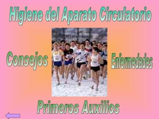 Higiene del Aparato Circulatorio Consejos Enfermedades Primeros Auxilios 