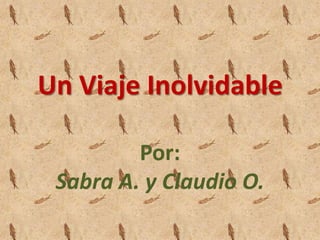 Un Viaje Inolvidable

         Por:
 Sabra A. y Claudio O.
 