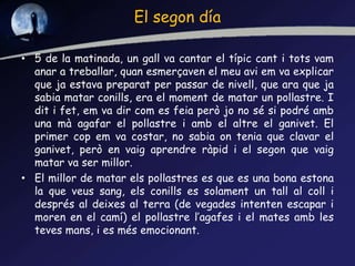 El segon día
• 5 de la matinada, un gall va cantar el típic cant i tots vam
anar a treballar, quan esmerçaven el meu avi em va explicar
que ja estava preparat per passar de nivell, que ara que ja
sabia matar conills, era el moment de matar un pollastre. I
dit i fet, em va dir com es feia però jo no sé si podré amb
una mà agafar el pollastre i amb el altre el ganivet. El
primer cop em va costar, no sabia on tenia que clavar el
ganivet, però en vaig aprendre ràpid i el segon que vaig
matar va ser millor.
• El millor de matar els pollastres es que es una bona estona
la que veus sang, els conills es solament un tall al coll i
després al deixes al terra (de vegades intenten escapar i
moren en el camí) el pollastre l’agafes i el mates amb les
teves mans, i es més emocionant.
 