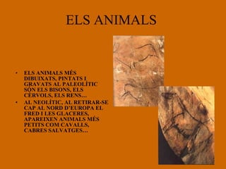 ELS ANIMALS  ELS ANIMALS MÉS DIBUIXATS, PINTATS I GRAVATS AL PALEOLÍTIC SÓN ELS BISONS, ELS CÈRVOLS, ELS RENS… AL NEOLÍTIC, AL RETIRAR-SE CAP AL NORD D’EUROPA EL FRED I LES GLACERES, APAREIXEN ANIMALS MÉS PETITS COM CAVALLS, CABRES SALVATGES… 