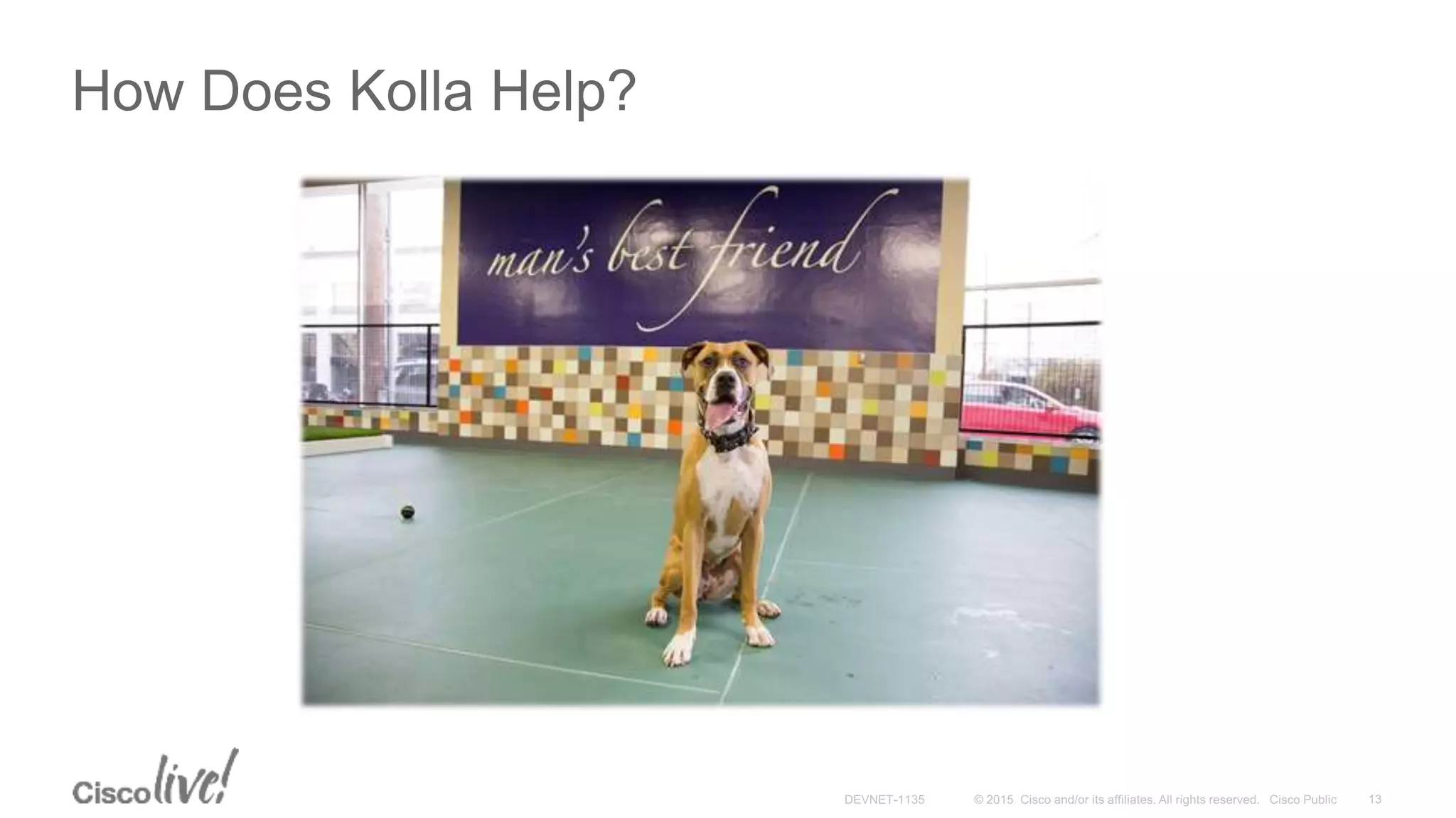 How Does Kolla Help?
 