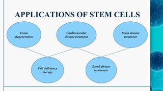 APPLICATIONS OF STEM CELLS
Brain disease
treatment
Cardiovascular
disease treatment
Tissue
Regeneration
Blood disease
treatments
Cell deficiency
therapy
 