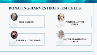 DONATING/HARVESTING STEM CELLS:
BONE MARROW PERIPHERAL STEM
CELLS
UMBILICAL CORD BLOOD
ADIPOSE DERVIED STEM
CELLS
 