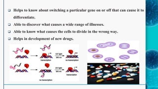  Helps to know about switching a particular gene on or off that can cause it to
differentiate.
 Able to discover what causes a wide range of illnesses.
 Able to know what causes the cells to divide in the wrong way.
 Helps in development of new drugs.
 