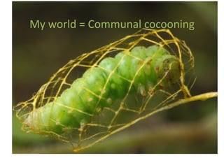 My	
  world	
  =	
  Communal	
  cocooning	
  	
  
 