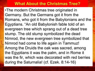 What About the Christmas Tree?
•The modern Christmas tree originated in
Germany. But the Germans got it from the
Romans, who got it from the Babylonians and the
Egyptians. “An old Babylonish fable told of an
evergreen tree which sprang out of a dead tree
stump. The old stump symbolized the dead
Nimrod, the new evergreen tree symbolized that
Nimrod had come to life again in Tammuz!
Among the Druids the oak was sacred, among
the Egyptians it was the palm, and in Rome it
was the fir, which was decorated with red berries
during the Saturnalia! (cf. Ezek. 8:14-16)
 
