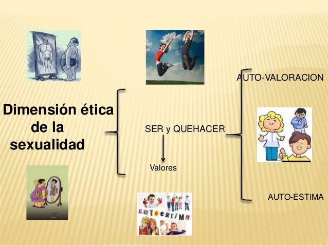 Sexualidad Humana Componentes Y Relaciones Interpersonales