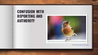 CONFUSION WITH
REPORTING AND
AUTHORITY
Photo by Vittorio Zamboni on Unsplash
 