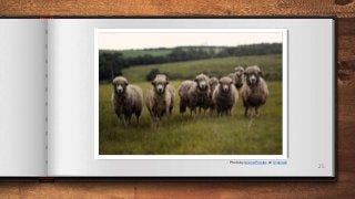 25
Photo by Ariana Prestes on Unsplash
 