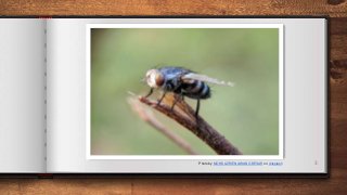 3Photo by MOHD AZRIEN AWANG BESAR on Unsplash
 