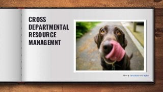 CROSS
DEPARTMENTAL
RESOURCE
MANAGEMNT
Photo by James Barker on Unsplash
 