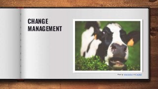 CHANGE
MANAGEMENT
Photo by Amanda Kerr on Unsplash
 