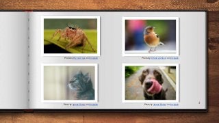 4
Photo by Wynand Uys on Unsplash Photo by Vittorio Zamboni on Unsplash
Photo by James Sutton on Unsplash Photo by James Barker on Unsplash
 