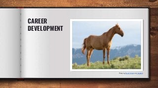 CAREER
DEVELOPMENT
Photo by David Dibert on Unsplash
 