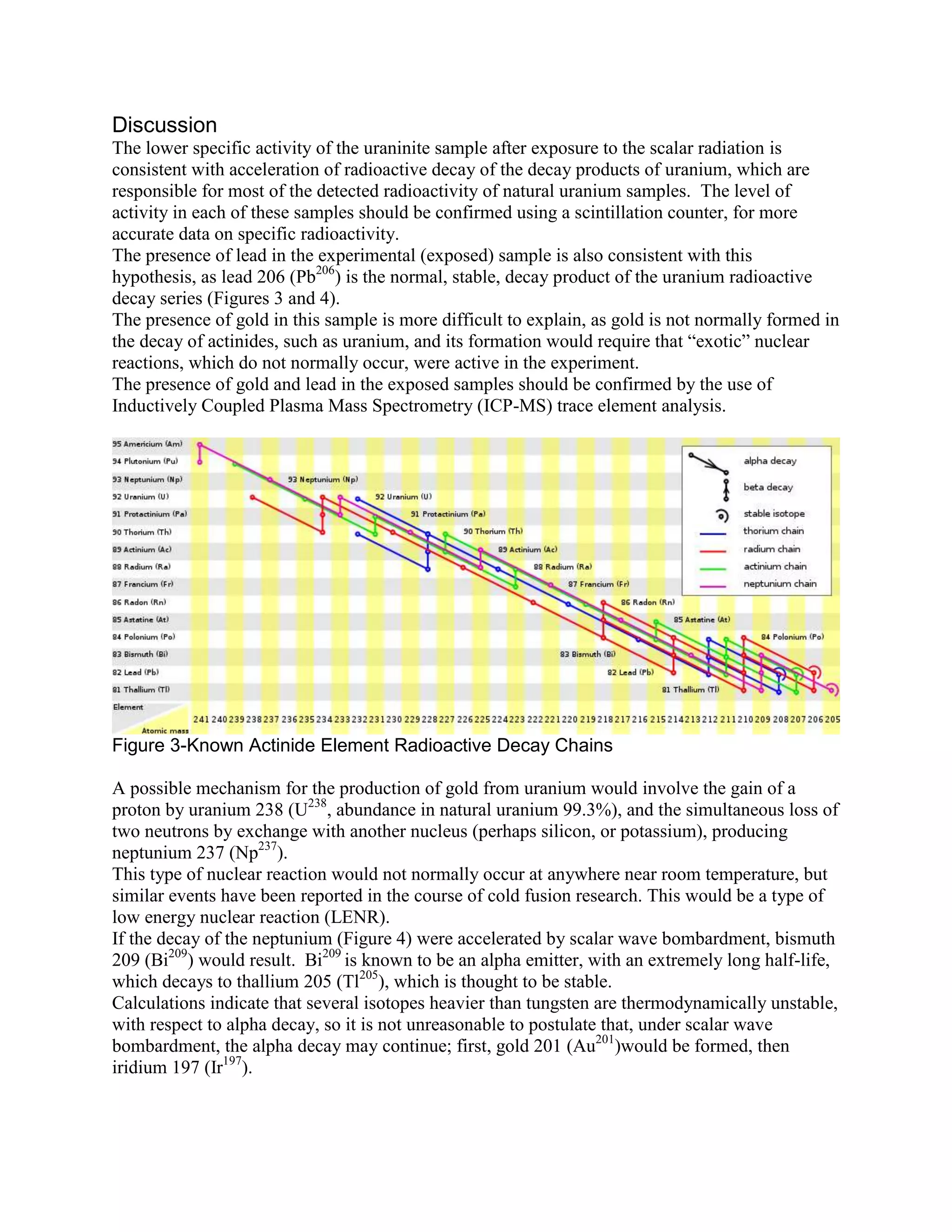 Discussion
The lower specific activity of the uraninite sample after exposure to the scalar radiation is
consistent with acceleration of radioactive decay of the decay products of uranium, which are
responsible for most of the detected radioactivity of natural uranium samples. The level of
activity in each of these samples should be confirmed using a scintillation counter, for more
accurate data on specific radioactivity.
The presence of lead in the experimental (exposed) sample is also consistent with this
hypothesis, as lead 206 (Pb206) is the normal, stable, decay product of the uranium radioactive
decay series (Figures 3 and 4).
The presence of gold in this sample is more difficult to explain, as gold is not normally formed in
the decay of actinides, such as uranium, and its formation would require that “exotic” nuclear
reactions, which do not normally occur, were active in the experiment.
The presence of gold and lead in the exposed samples should be confirmed by the use of
Inductively Coupled Plasma Mass Spectrometry (ICP-MS) trace element analysis.




Figure 3-Known Actinide Element Radioactive Decay Chains

A possible mechanism for the production of gold from uranium would involve the gain of a
proton by uranium 238 (U238, abundance in natural uranium 99.3%), and the simultaneous loss of
two neutrons by exchange with another nucleus (perhaps silicon, or potassium), producing
neptunium 237 (Np237).
This type of nuclear reaction would not normally occur at anywhere near room temperature, but
similar events have been reported in the course of cold fusion research. This would be a type of
low energy nuclear reaction (LENR).
If the decay of the neptunium (Figure 4) were accelerated by scalar wave bombardment, bismuth
209 (Bi209) would result. Bi209 is known to be an alpha emitter, with an extremely long half-life,
which decays to thallium 205 (Tl205), which is thought to be stable.
Calculations indicate that several isotopes heavier than tungsten are thermodynamically unstable,
with respect to alpha decay, so it is not unreasonable to postulate that, under scalar wave
bombardment, the alpha decay may continue; first, gold 201 (Au201)would be formed, then
iridium 197 (Ir197).
 