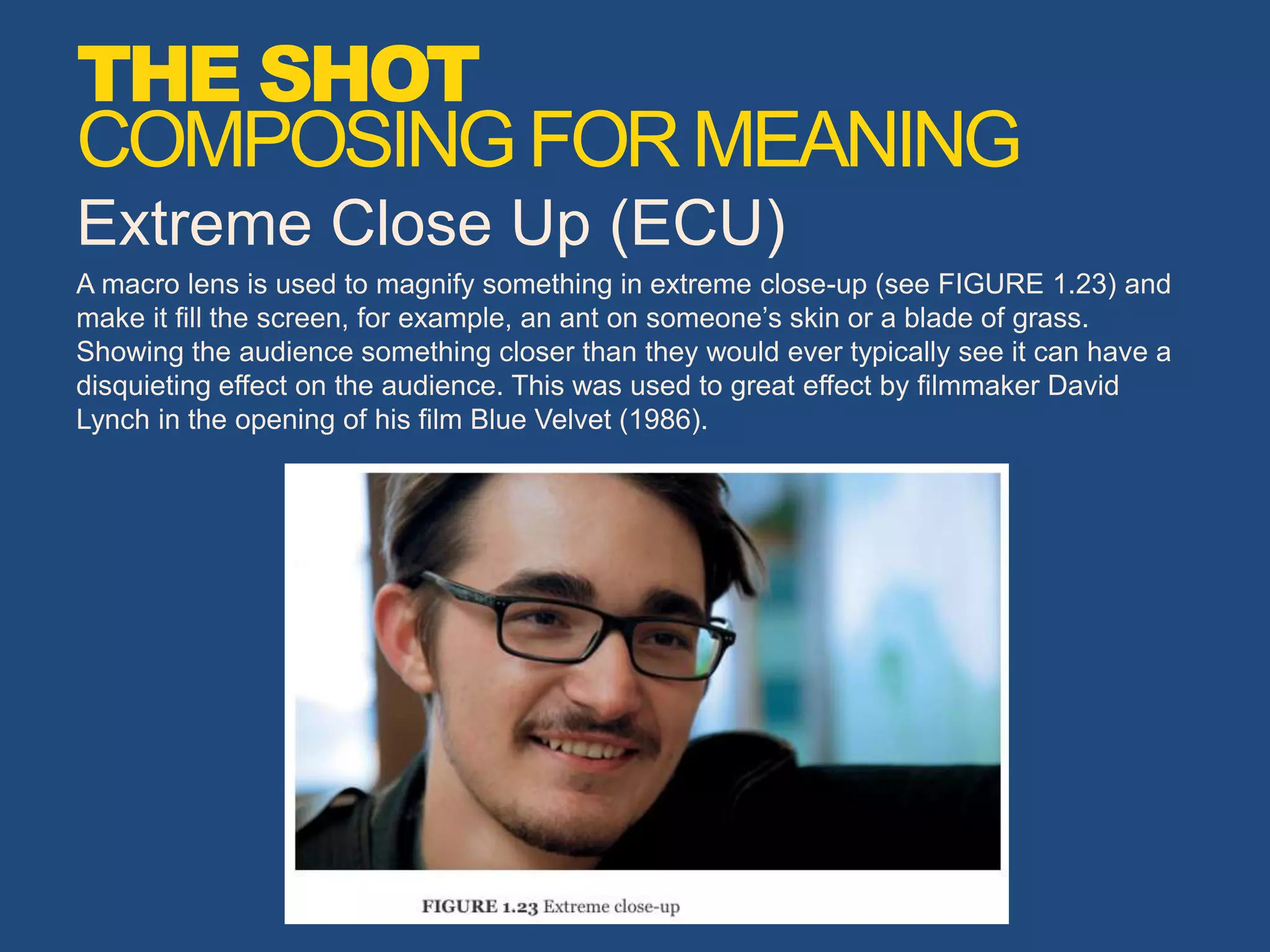 Extreme Close Up (ECU)
A macro lens is used to magnify something in extreme close-up (see FIGURE 1.23) and
make it fill the screen, for example, an ant on someone’s skin or a blade of grass.
Showing the audience something closer than they would ever typically see it can have a
disquieting effect on the audience. This was used to great effect by filmmaker David
Lynch in the opening of his film Blue Velvet (1986).
THE SHOT
COMPOSINGFORMEANING
 