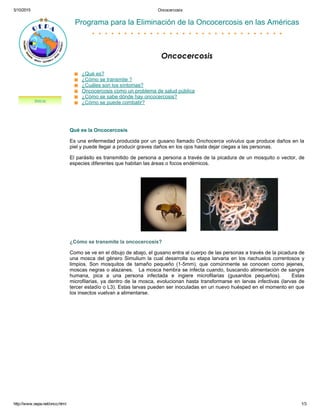 5/10/2015 Oncocercosis
http://www.oepa.net/onco.html 1/3
Qué es la Oncocercosis
Es una enfermedad producida por un gusano llamado Onchocerca volvulus que produce daños en la
piel y puede llegar a producir graves daños en los ojos hasta dejar ciegas a las personas.
El parásito es transmitido de persona a persona a través de la picadura de un mosquito o vector, de
especies diferentes que habitan las áreas o focos endémicos.
¿Cómo se transmite la oncocercosis?
Como se ve en el dibujo de abajo, el gusano entra al cuerpo de las personas a través de la picadura de
una mosca del género Simulium la cual desarrolla su etapa larvaria en los riachuelos correntosos y
limpios.  Son  mosquitos  de  tamaño  pequeño  (1­5mm),  que  comúnmente  se  conocen  como  jejenes,
moscas negras o alazanes.   La mosca hembra se infecta cuando, buscando alimentación de sangre
humana,  pica  a  una  persona  infectada  e  ingiere  microfilarias  (gusanitos  pequeños).      Estas
microfilarias, ya dentro de la mosca, evolucionan hasta transformarse en larvas infectivas (larvas de
tercer estadío o L3). Estas larvas pueden ser inoculadas en un nuevo huésped en el momento en que
los insectos vuelvan a alimentarse.
 
 
Programa para la Eliminación de la Oncocercosis en las Américas
 
Oncocercosis
 
¿Qué es?
¿Cómo se transmite ?
¿Cuáles son los síntomas?
Oncocercosis como un problema de salud pública
¿Cómo se sabe dónde hay oncocercosis?
¿Cómo se puede combatir?
 
 