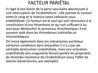 FACTEUR PARIÉTAL
Il s’agit d’une lésion de la paroi vasculaire aboutissant à
une interruption de l’endothélium : elle permet le contact
entre le sang et la matrice extra-cellulaire sous-
endothéliale. Ce facteur est le seul qui soit nécessaire à la
constitution d’une thrombose et qui soit suffisant à lui
seul pour déclencher le processus thrombotique. Il est
souvent isolé dans les thromboses artérielles et
intracardiaques.
On inclut également dans les mécanismes pariétaux
certaines conditions dans lesquelles il n’y a pas de
véritable destruction endothéliale, mais une activation
endothéliale pro-coagulante faisant perdre les propriétés
de thrombo-résistance de l’endothélium (sous l’effet de
toxines bactériennes, par exemple).
 